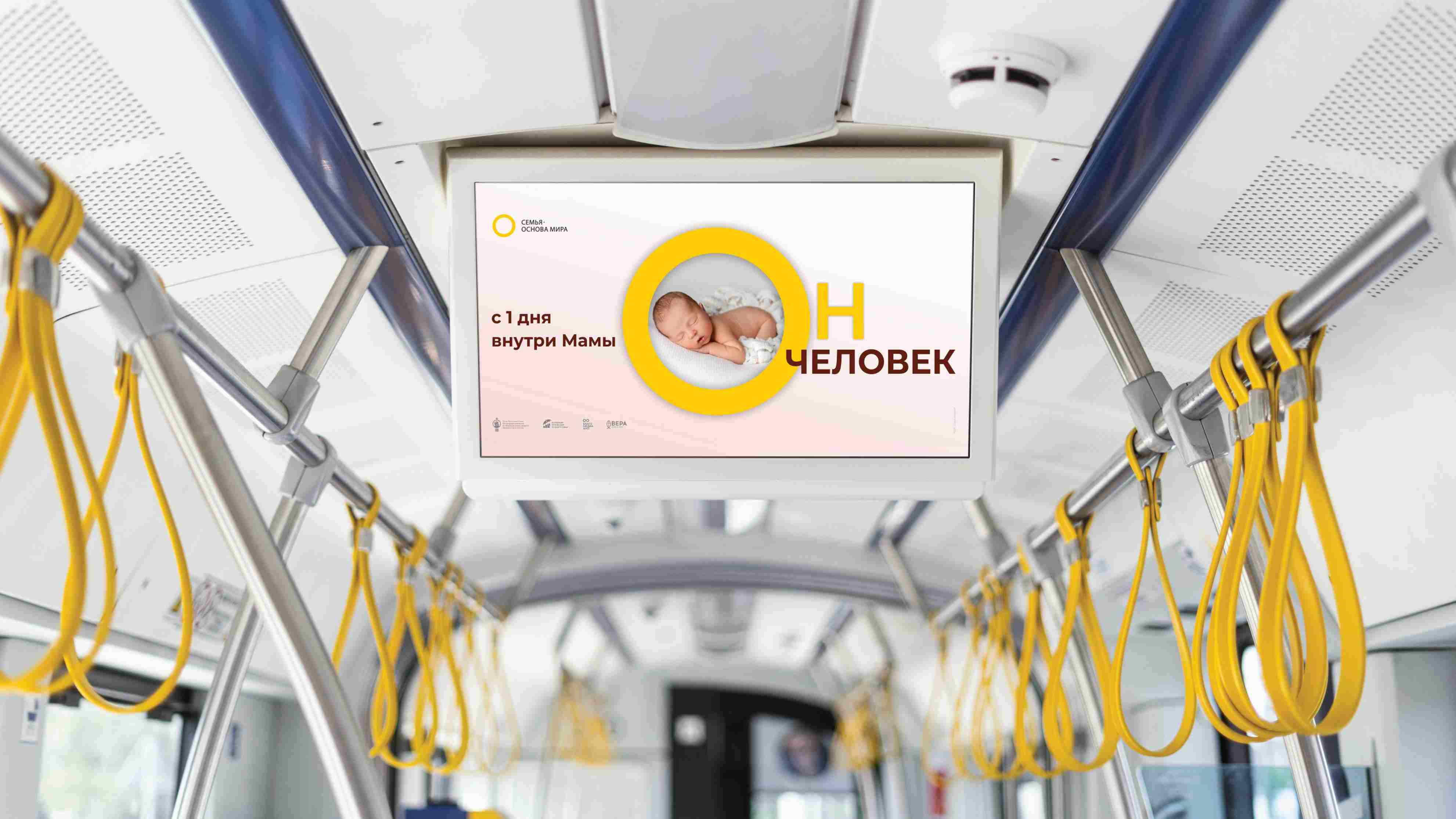 Брендирование транспорта